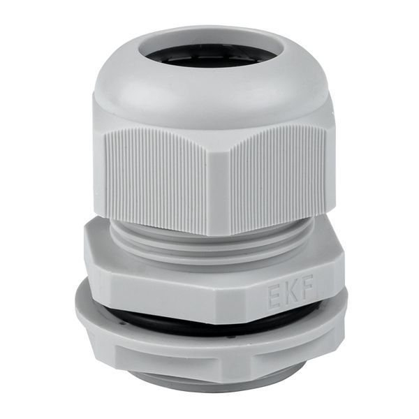 Сальник PG29 d18-25мм (d отверст. 36мм) IP54 PROxima EKF plc-pg-29-r